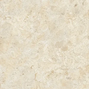 Coralina