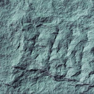 Mushroom Stone арт. PT031DF-129