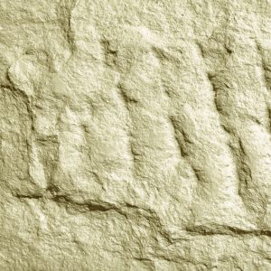 Mushroom Stone арт. PT055DF-128